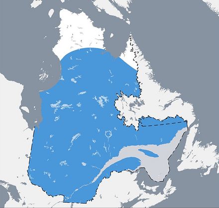 Carte du Québec qui situe l’aire de répartition du lièvre d’Amérique au Québec du sud de la province jusqu’à la limite nordique du domaine de la toundra forestière.