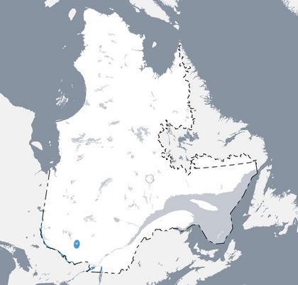 Carte qui situe l’aire de répartition du cladocère épineux au Québec.