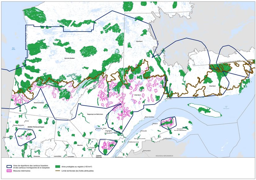 Carte du Québec méridional qui présente la localisation des aires protégées (de plus de 30 km2), les mesures intérimaires pour le caribou forestier et le caribou montagnard de la Gaspésie ainsi que l’aire de répartition du caribou forestier et montagnard de la Gaspésie au nord et au sud de la limite territoriale des forêts attribuables.