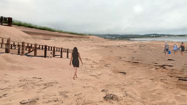 Simulation visuelle montrant une plage, une dune dans laquelle est visible un tube en géotextile et une rampe d’accès à la plage qui part du haut de la dune.