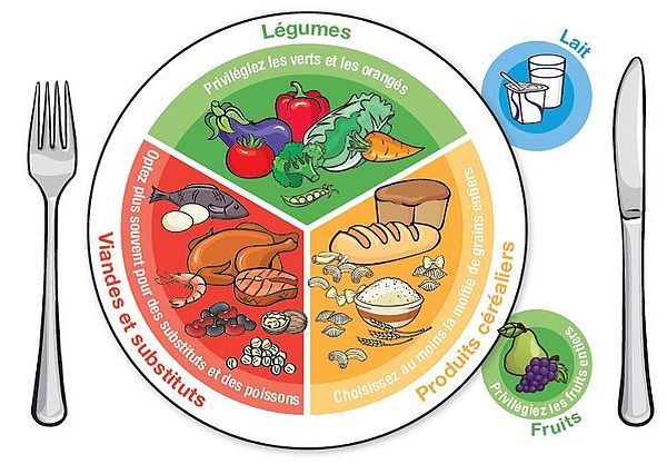 Assiette selon les groupes alimentaires. Représentation de la division d'une assiette selon les groupes alimentaires.