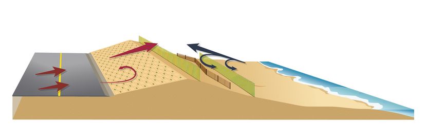 Image montrant une route située à côté d’une dune. Celle-ci présente une faible pente sur laquelle apparaissent de petits plants. Des clôtures linéaires et une autre en zigzag se trouvent dans le haut et sur l’autre côté de la dune. 