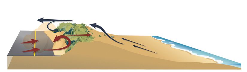 Image illustrant une route ensablée par les vents qui frappent la dune située juste à côté. Seul le dessus de la dune est recouvert de végétation.
