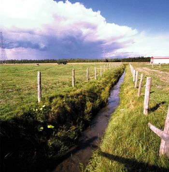 Clôtures installées près d’une rivière