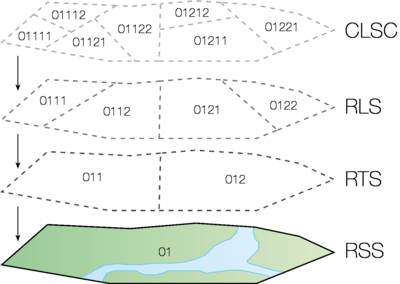 Graphique présentant la division d’une région sociosanitaire (RSS) : elle peut être divisée en territoires de réseaux locaux de services de santé et de services sociaux (RTS) et est composée de réseaux locaux de santé et de services sociaux (RLS) regroupant des centres locaux de services communautaires (CLSC).