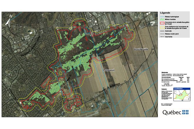 Carte d’un habitat qui présente une mosaïque de milieux humides et terrestres reliés entre eux. Les lignes du réseau hydrologique sont identifiées par un tracé bleu. 