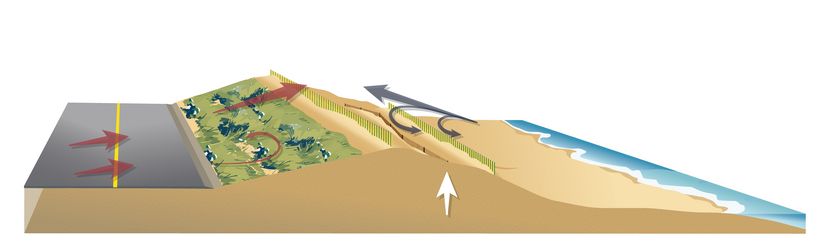 Image illustrant une route située à côté d’une dune. De la végétation recouvre tout un côté de la dune. Sur le haut et sur l’autre côté de la dune, des clôtures sont partiellement ensevelies par du sable.