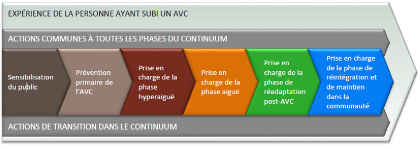 Schéma en flèche illustrant l’expérience d’une personne ayant subi un AVC. Il présente les six actions communes à toutes les phases du continuum en AVC, de gauche à droite : sensibilisation du public, prévention primaire de l’AVC, prise en charge de la phase hyperaiguë, prise en charge de la phase aiguë, prise en charge de la phase de réadaptation post‑AVC, puis prise en charge de la réintégration et du maintien dans la communauté.