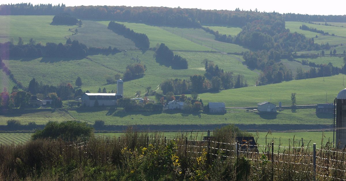 Greffe De L Arpenteur Général Du Québec