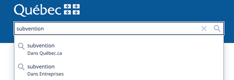 Capture d'écran montrant l'interface de la recherche par thème de Québec.ca.