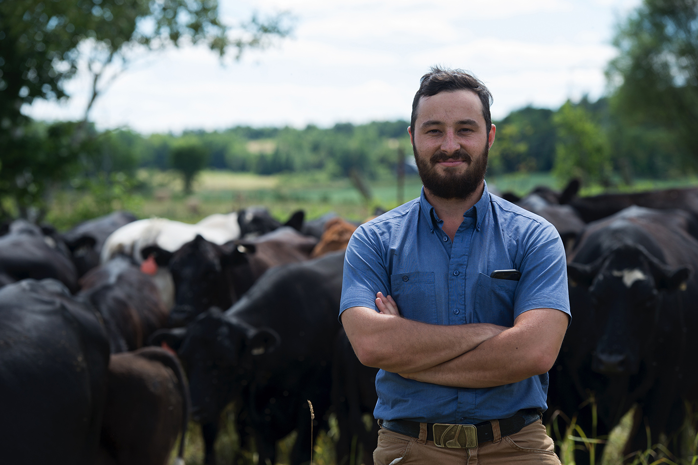 Un éleveur et ses bovins