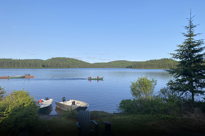 Terrain de villégiature 