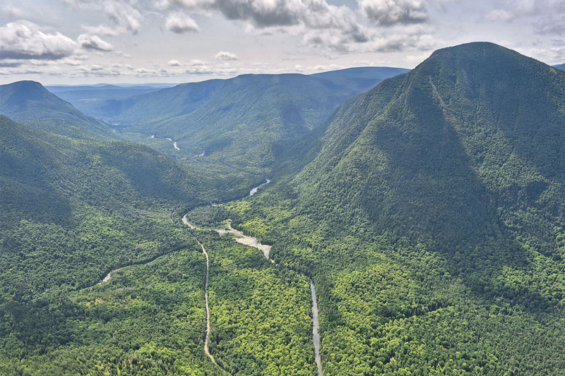 forêts 
