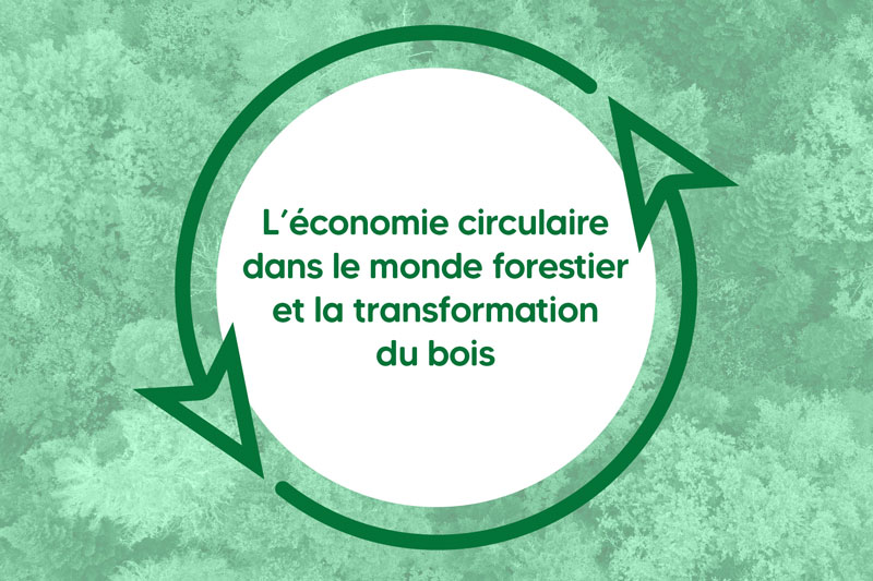 Économie circulaire dans le secteur forestier, illustrée par un cercle de flèches vertes sur fond de forêt.