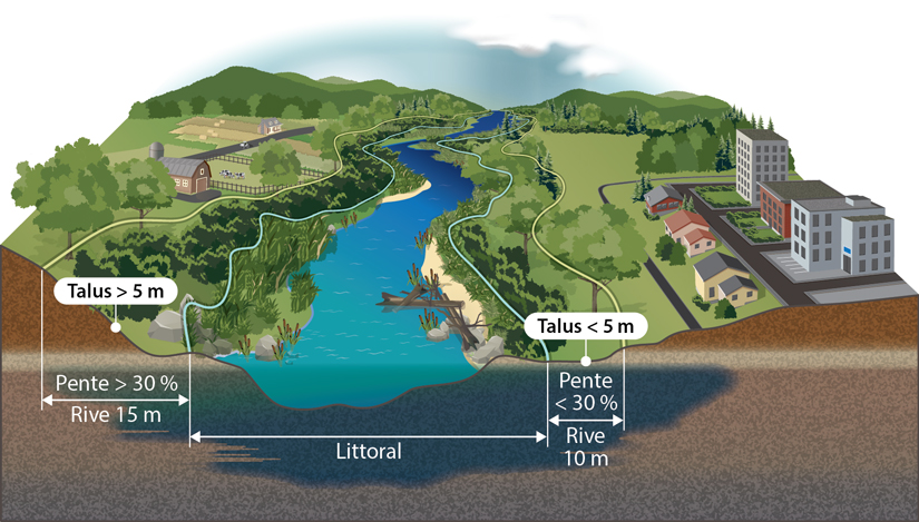 Illustration du profil d’un cours d’eau dont les rives sont végétalisées par trois strates de végétation, soit la strate herbacée, la strate arbustive et la strate arborescente. D’un côté, la pente est douce et végétalisée, avec une rive d’une largeur de 10 mètres. De l’autre côté, la pente du talus est d’une hauteur de plus de 5 mètres et végétalisée. La largeur de la rive de ce côté plus pentu est de 15 mètres.