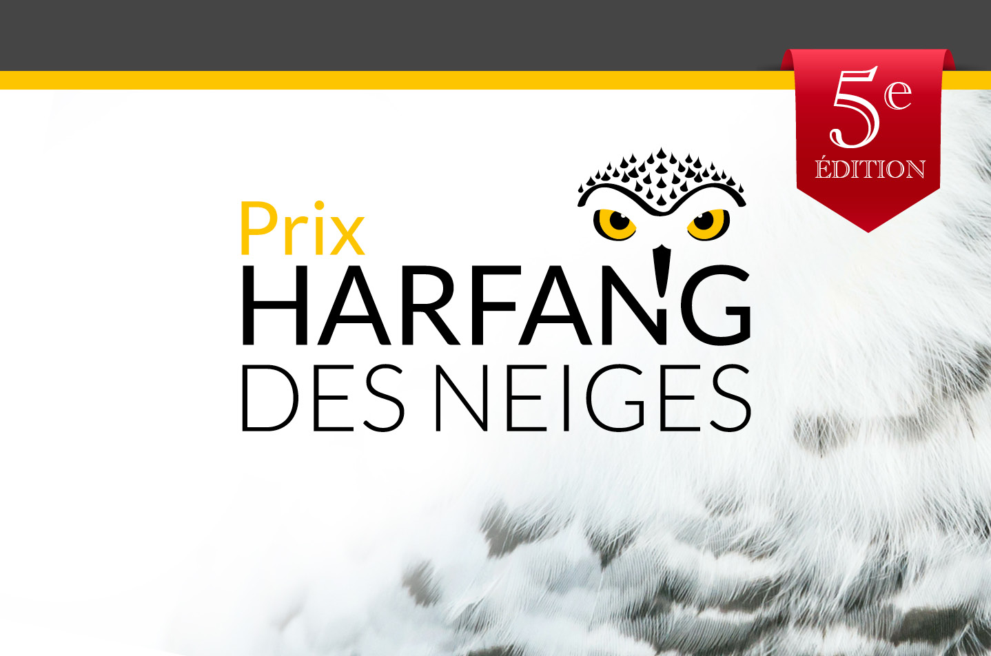 Visuel du Prix harfang des neiges