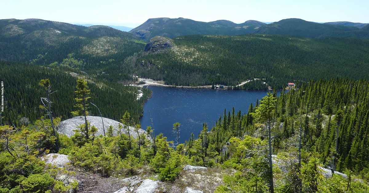 Printable versions of the fishing rules Gouvernement du Québec