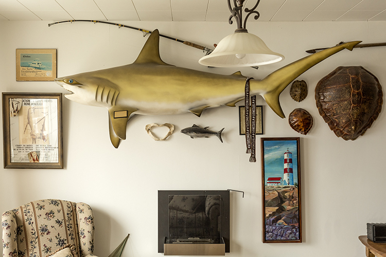 Maison du Québec SaintMalo Exposition Visages du Nord EXODE 138 de