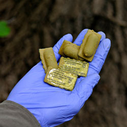 Capsule verte qui contient l'appât vaccinal contre la rage du raton laveur. Capsule verte qui contient l'appât vaccinal contre la rage du raton laveur.