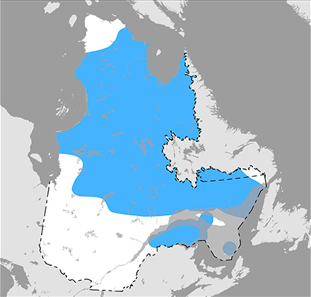 Carte du Québec situant l’aire de répartition de la population d’arlequin plongeur, population de l’Est