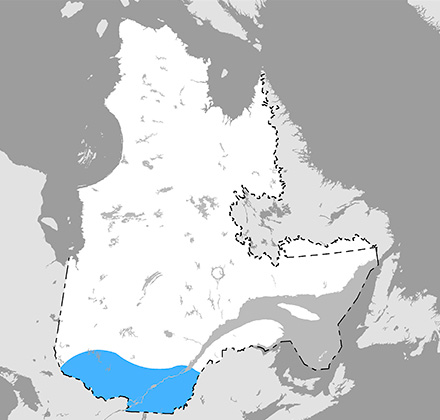 Carte du Québec qui présente l’aire de répartition de la pipistrelle de l’Est. 