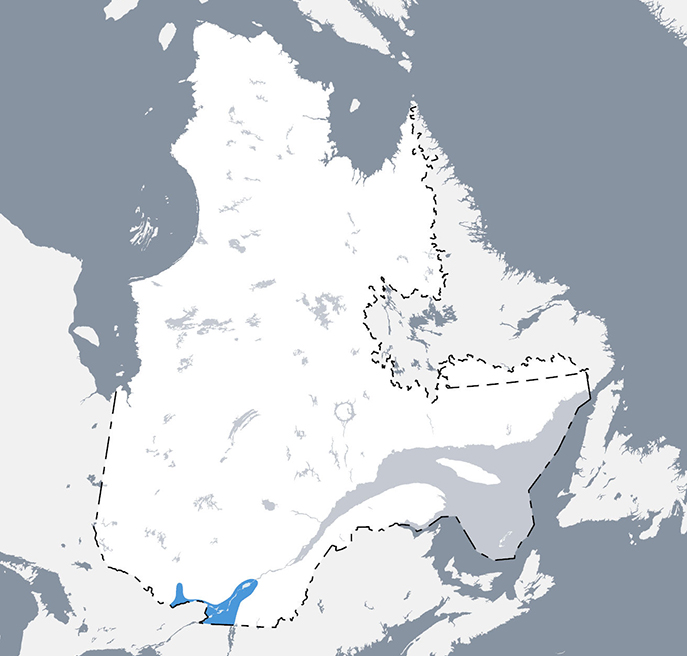 Carte qui situe l’aire de répartition du chevalier de rivière au Québec.