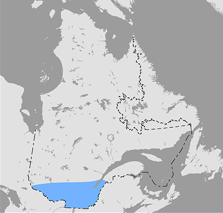 Carte qui situe l’aire de répartition de l’écureuil gris dans le sud du Québec.