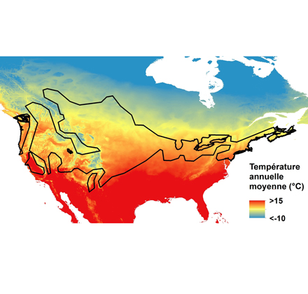 Aire de répartition du faisan de Colchide en fonction de la température annuelle moyenne. Le sud du Québec affiche des températures annuelles moyennes analogues à celles de certaines parties de l’aire de répartition du faisan de Colchide.