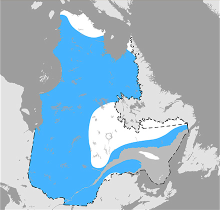 Carte qui situe l’aire de répartition du hibou des marais au Québec.