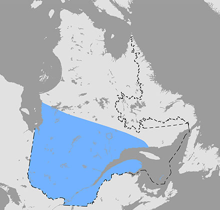 Carte qui situe l’aire de répartition de la mouffette rayée au Québec.