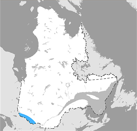 Carte du Québec qui situe l’aire de répartition de la paruline à ailes dorées dans le sud-ouest de la province.