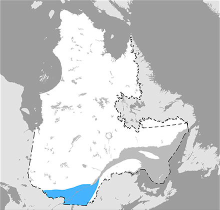 Carte du Québec situant l’aire de répartition du pic à tête rouge dans les régions du sud de la province.