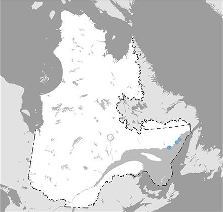 Carte du Québec situant l’aire de répartition de la sterne caspienne surtout dans le golfe du Saint-Laurent.