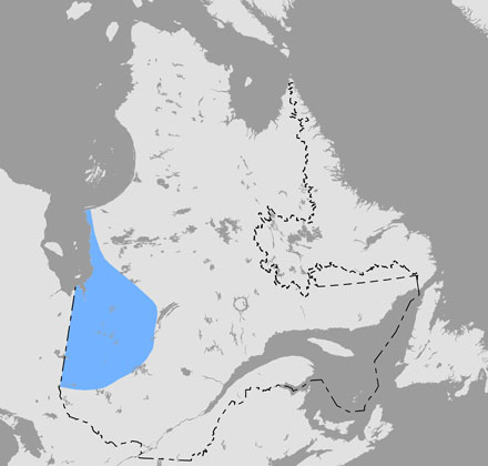 Carte du Québec qui situe l’aire de répartition du tétras à queue fine dans le centre ouest de la province.