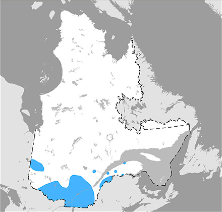 Carte du Québec qui situe l’aire de répartition de la tortue des bois au Québec.