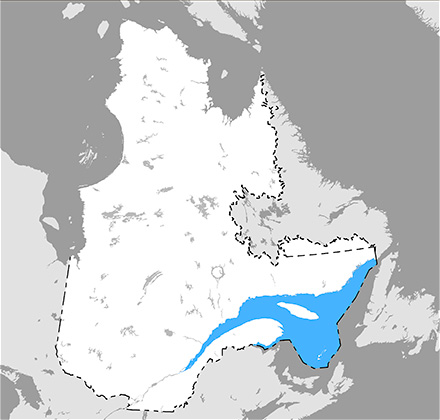 Carte du Québec qui situe l’aire de répartition de la tortue luth aux environs des îles de la Madeleine, de la Basse-Côte-Nord et de l’île d’Anticosti.