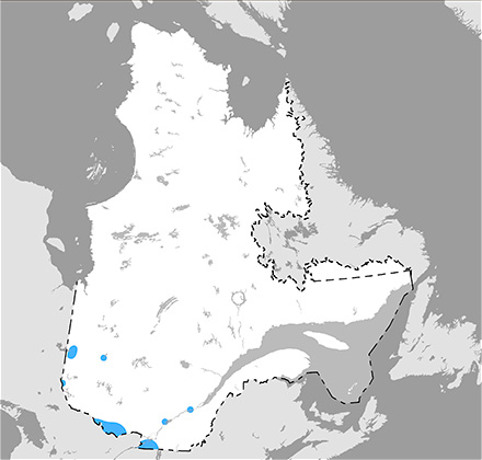 Carte du Québec qui situe l’aire de répartition de la tortue mouchetée surtout dans la vallée de l’Outaouais et le parc de la Gatineau.