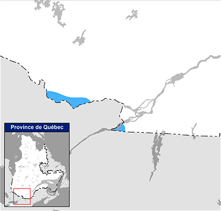 Carte du Québec qui situe l’aire de répartition de la tortue musquée dans la rivière des Outaouais et au lac Saint-François.