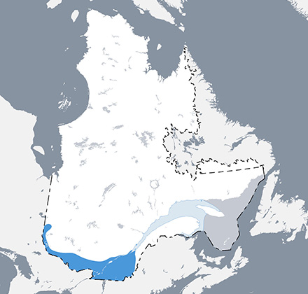 Carte qui situe l’aire de répartition de la truite arc-en-ciel au Québec.
