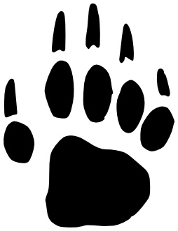 Empreinte de patte de la mouffette rayée.