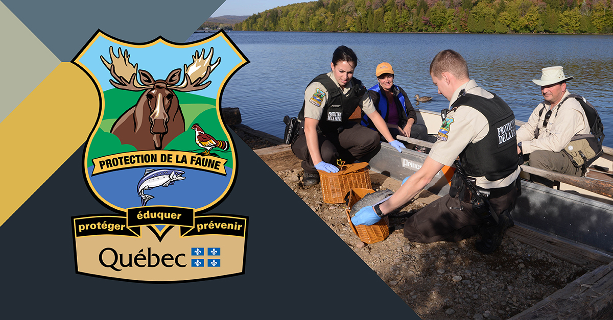 Wildlife Protection | Gouvernement du Québec