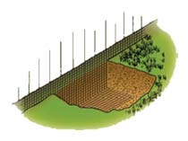 Illustration d'un grillage enterrée dans le sol, soit à environ 15 cm de profondeur. Il doit aussi être plié en L vers l’extérieur (40‑50 cm).