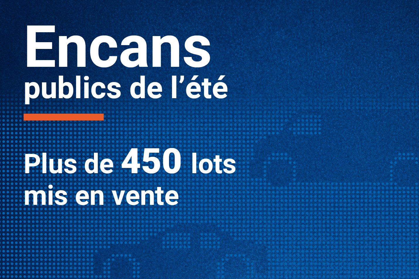 Vignette de l'actualité. Texte: Encan publics de l'été. Plus de 450 lots mis en vente. 