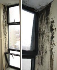 Mould in the corner of the windows